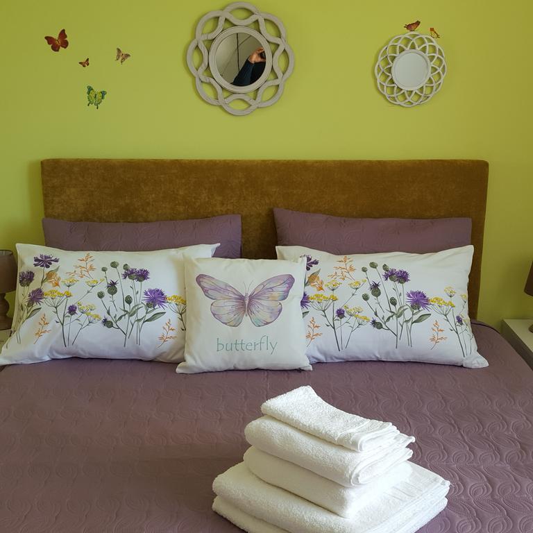 Sweet Butterflies Residence Braşov Exterior foto