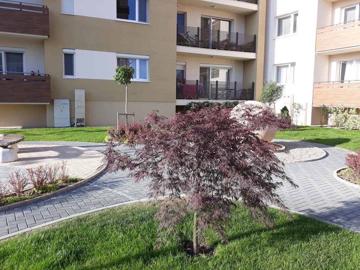 Sweet Butterflies Residence Braşov Exterior foto